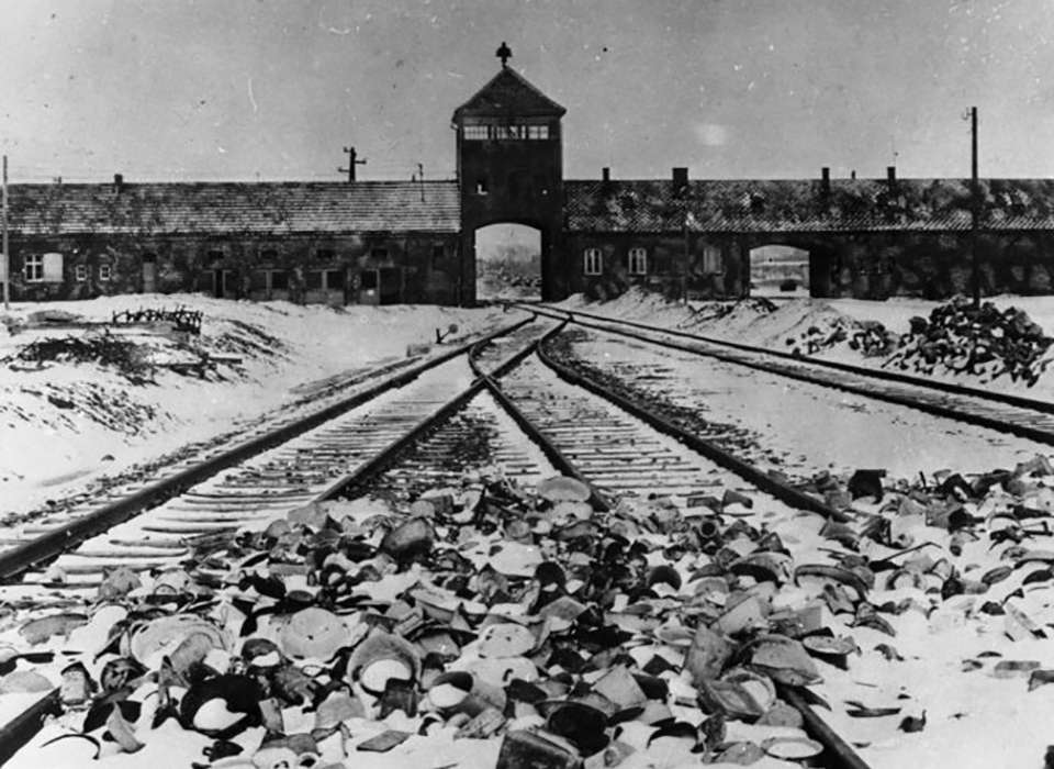 The Imperative to Witness: Memoirs by Survivors of Auschwitz | The ...
